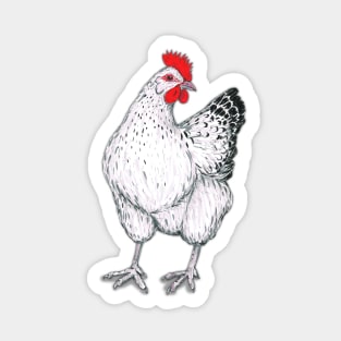 Chicken Sticker